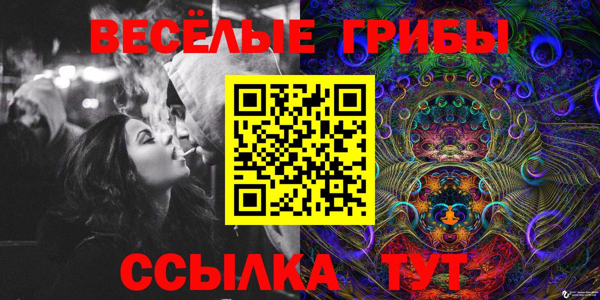 Псилоцибиновые грибы Cubensis  Галлюциногенные грибы прущие грибы  Санкт-Петербург  Вход с VPN 